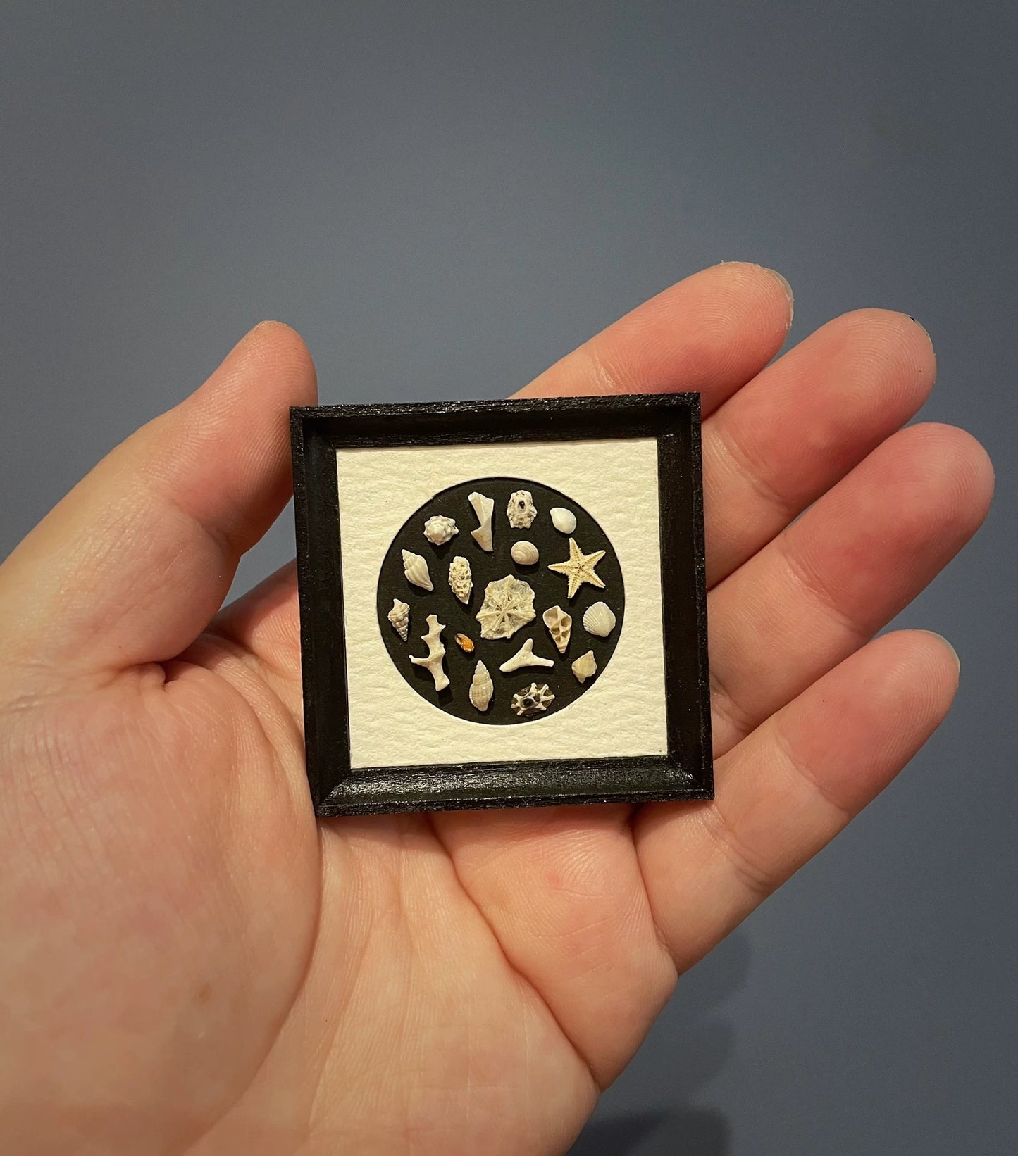 Marco de fotos en miniatura con conchas Arte con conchas