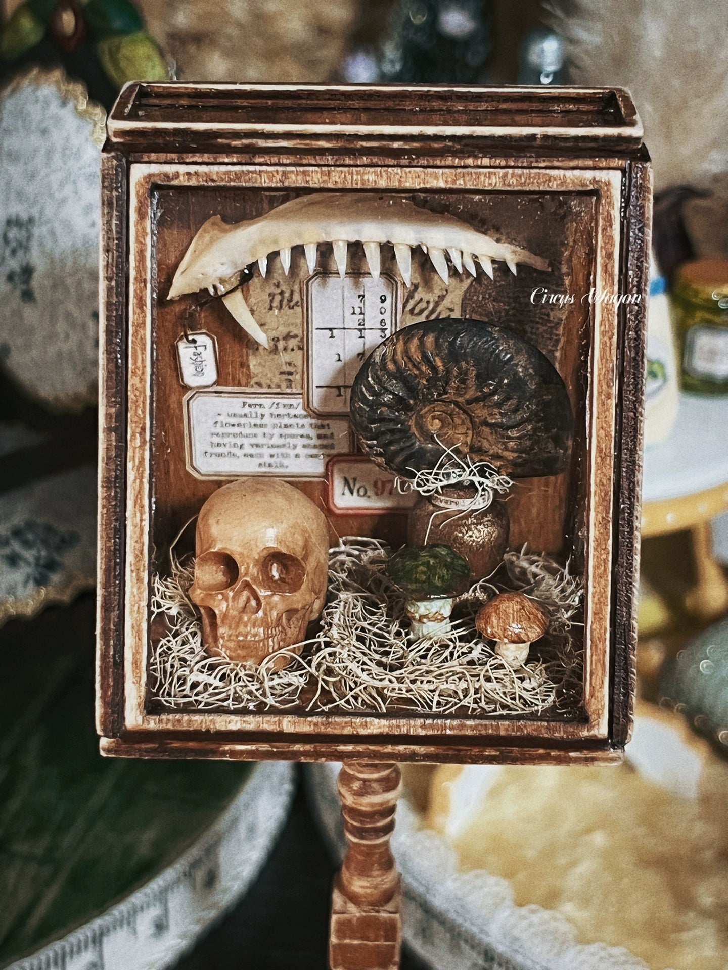 1:12 Scale Wooden Paleontology Specimen Cabinet Miniature Dollhouse Furniture