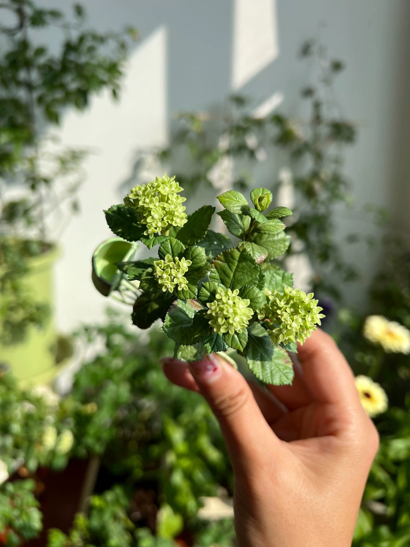 1:6 Scale Miniature Matcha Ice Cream Hydrangea Potted Plant For Blythe Dollhouse Decor