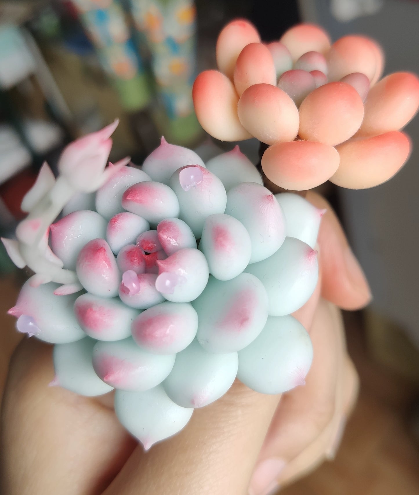 1:12 Scale Miniature Succulent Plant Clay Craft DIY Decoration