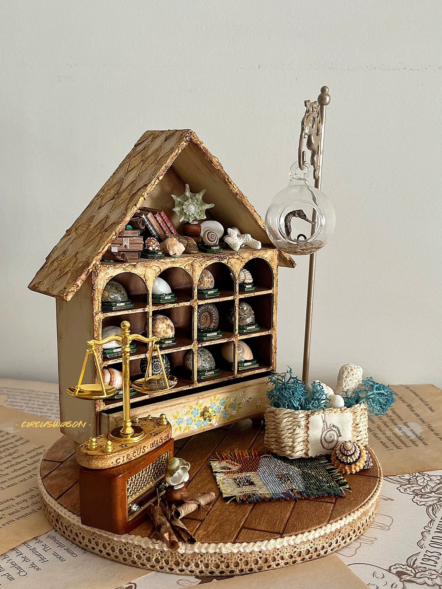 1:12 Scale Miniature Shell Collector Cabinet Miniature Dollhouse Furniture