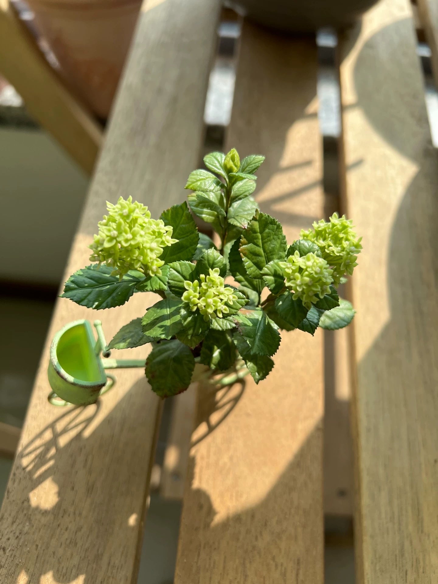 1:6 Scale Miniature Matcha Ice Cream Hydrangea Potted Plant For Blythe Dollhouse Decor