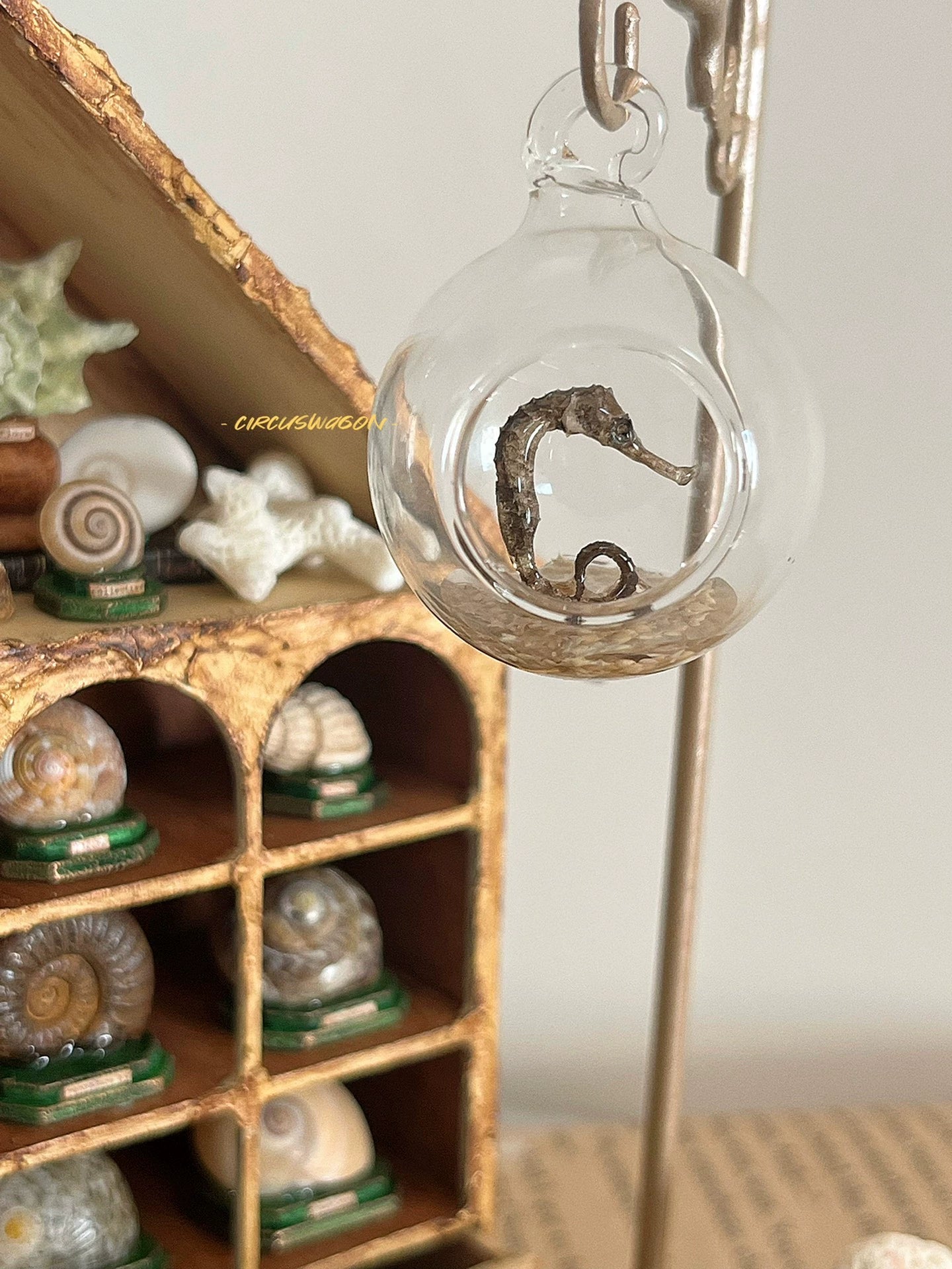 1:12 Scale Miniature Shell Collector Cabinet Miniature Dollhouse Furniture