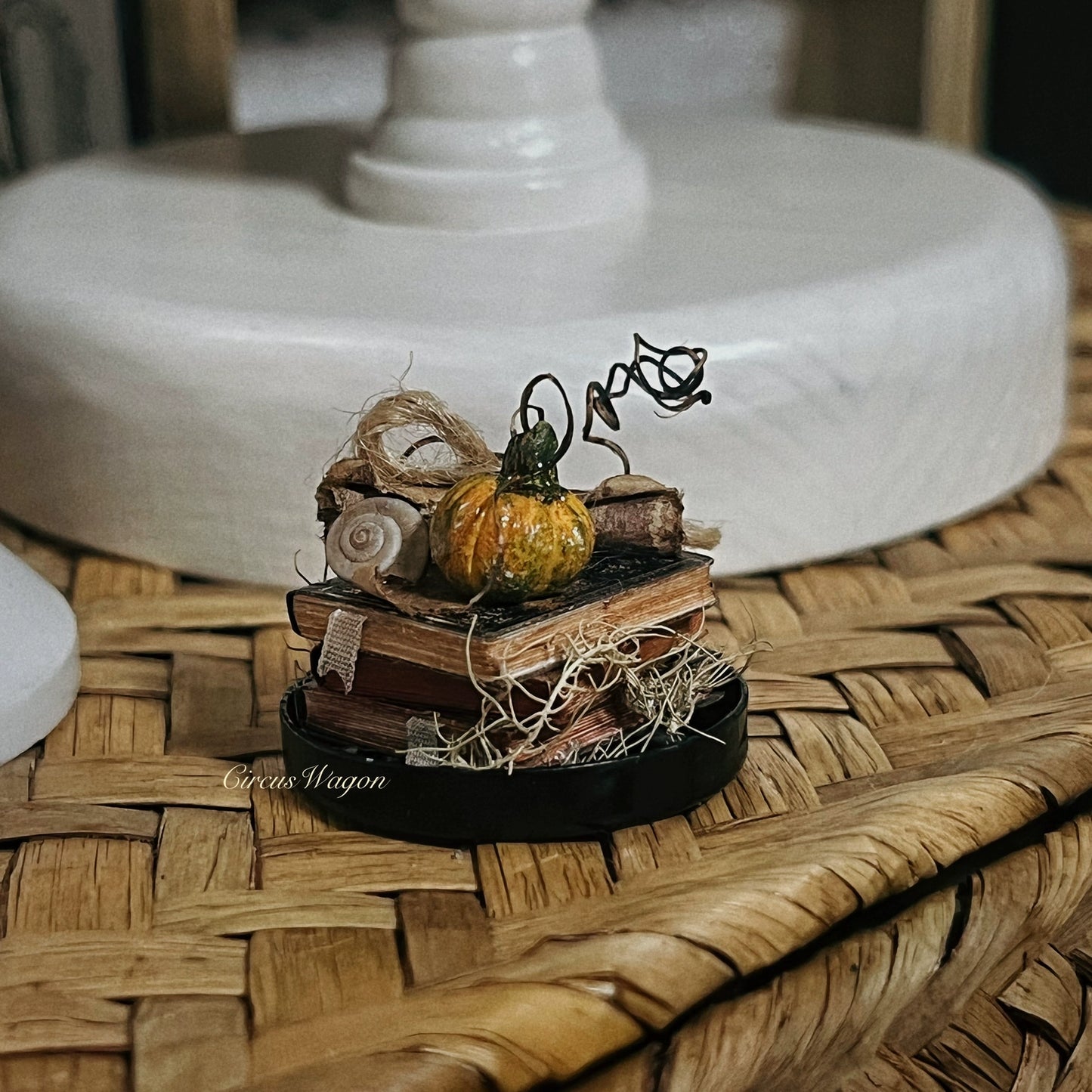 1:12 Scale Miniature Witch House Pumpkin Birdcage Dollhouse Magic Decor Accessories