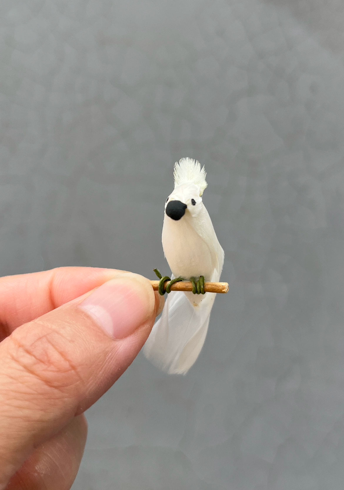 Ensemble de meubles miniatures pour maison de poupée à l'échelle 1:6, avec accessoires pour poupée Blythe et modèle réaliste de perroquet