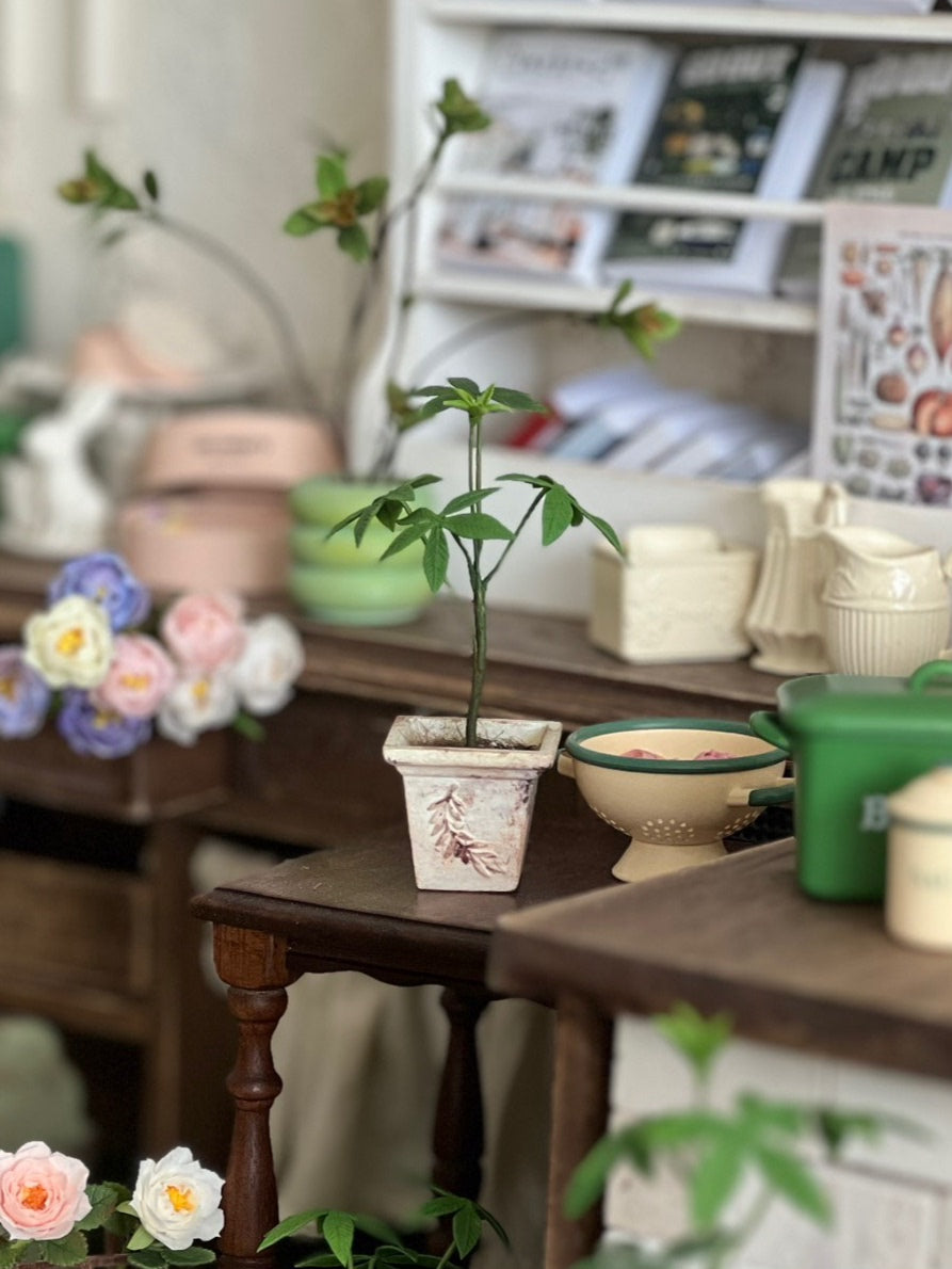 1:6 Scale Miniature Money Tree Potted Plant For Blythe Dollhouse Decor