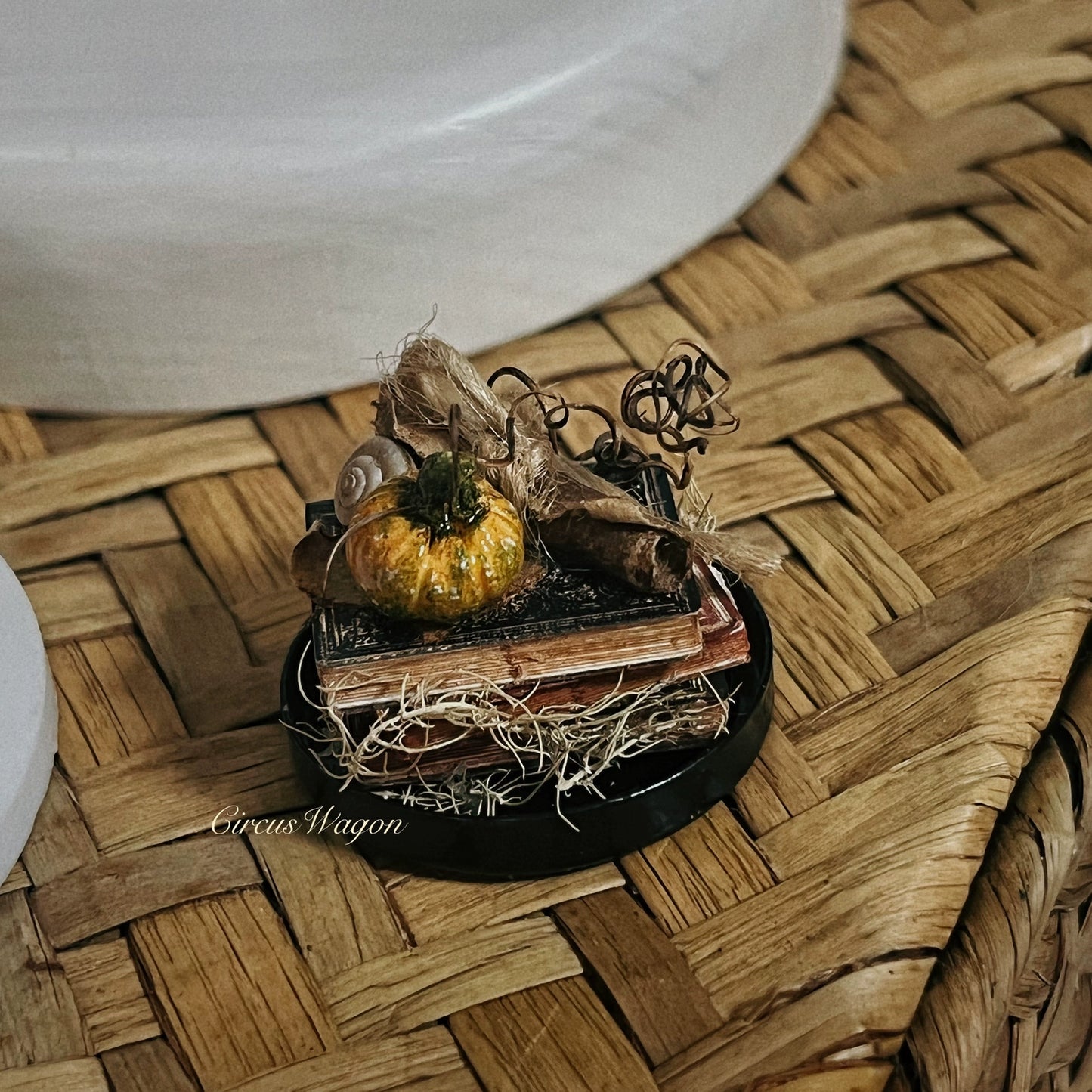 1:12 Scale Miniature Witch House Pumpkin Birdcage Dollhouse Magic Decor Accessories