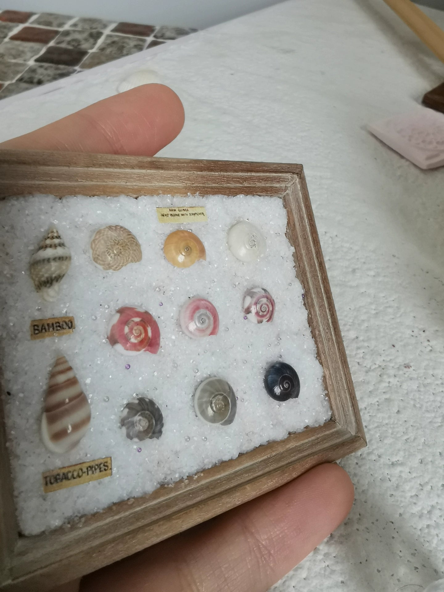 Miniatura de concha marina a escala 1:12 para decorar casas de muñecas BJD y Blythe.