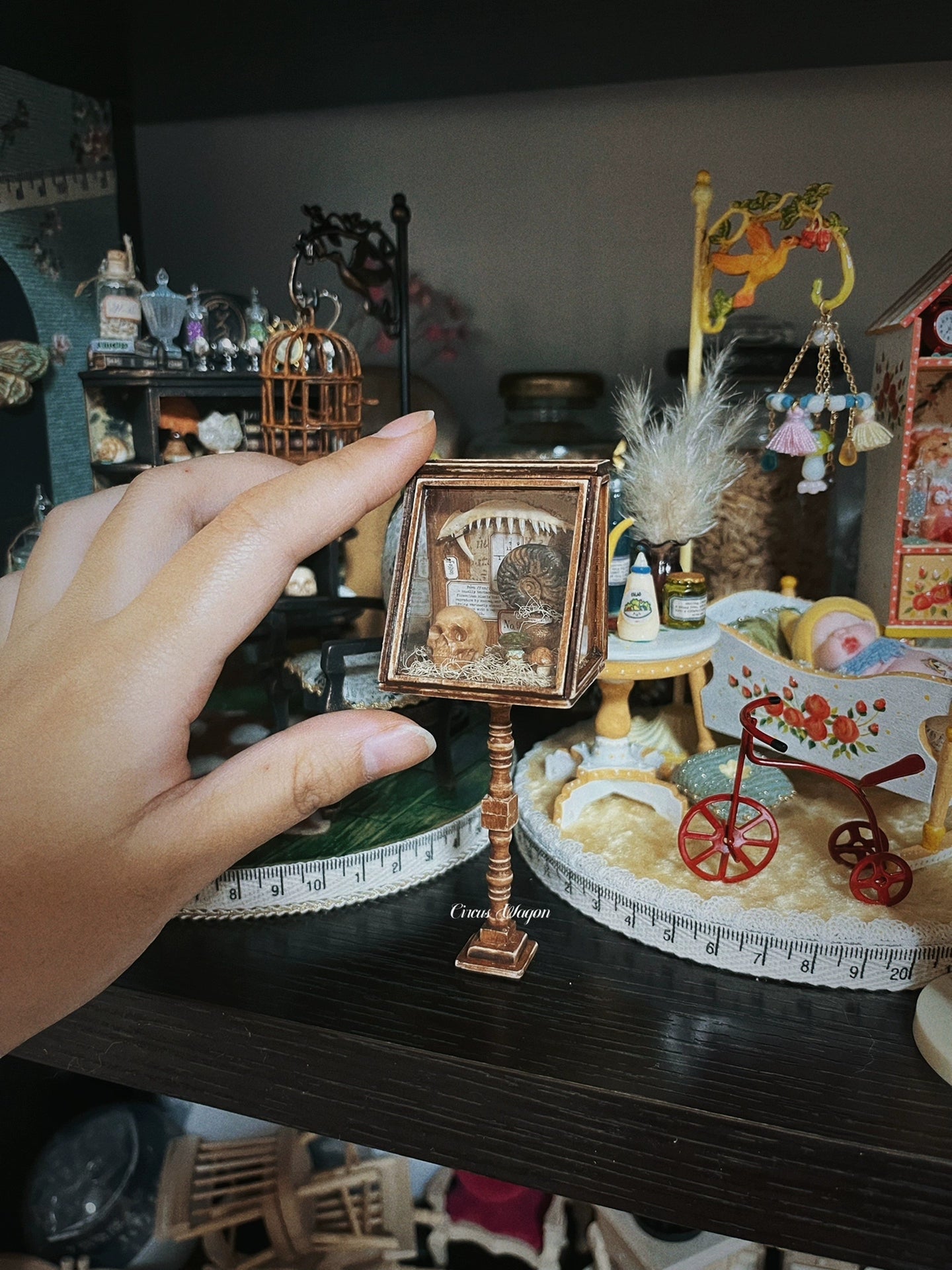 1:12 Scale Wooden Paleontology Specimen Cabinet Miniature Dollhouse Furniture