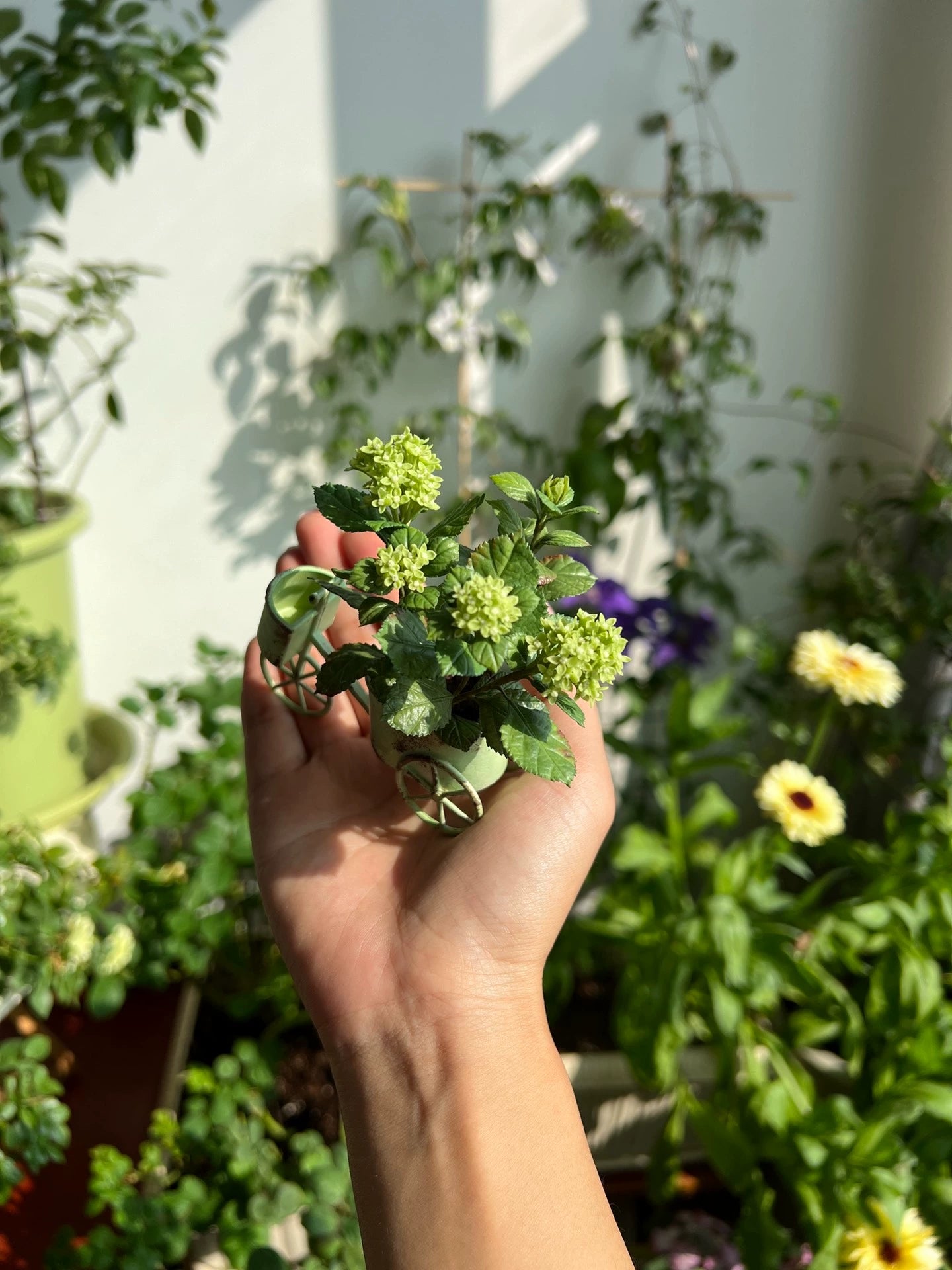 1:6 Scale Miniature Matcha Ice Cream Hydrangea Potted Plant For Blythe Dollhouse Decor