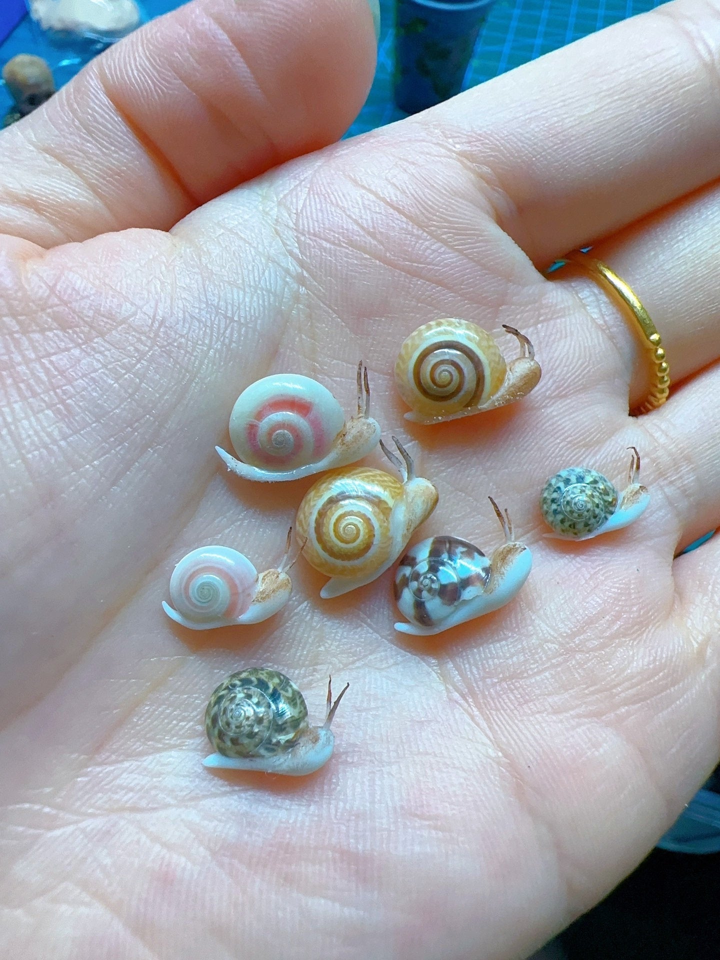 Caracol de arcilla en miniatura a escala 1:12 para muñecas Blythe. Accesorios de arcilla en miniatura.