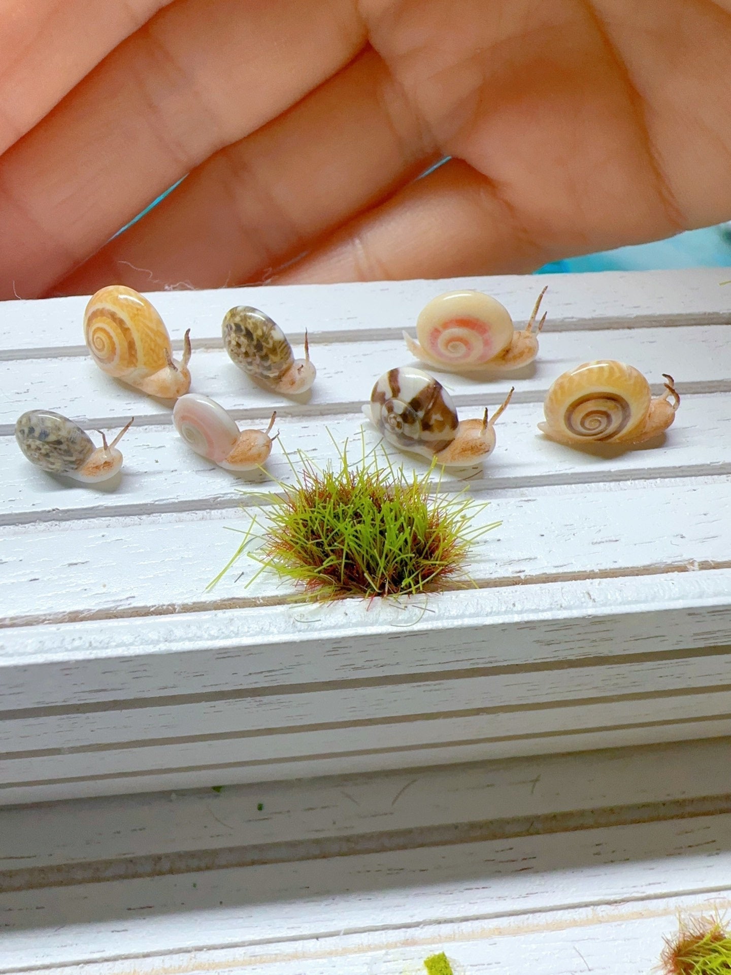 Caracol de arcilla en miniatura a escala 1:12 para muñecas Blythe. Accesorios de arcilla en miniatura.