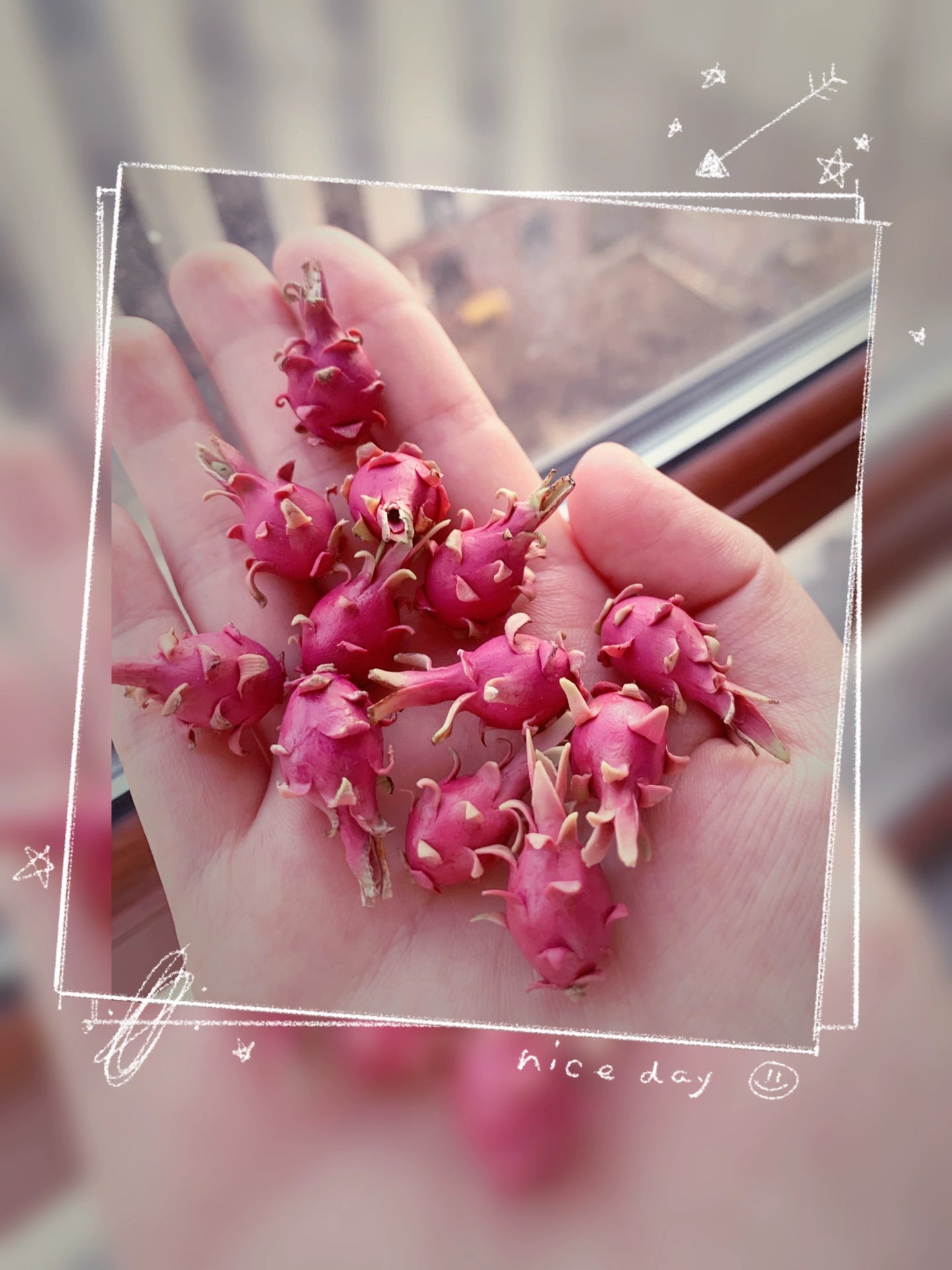 1:12 Scale Soft Clay Miniature Dragon Fruit For BJD OB11 Dollhouse Accessory
