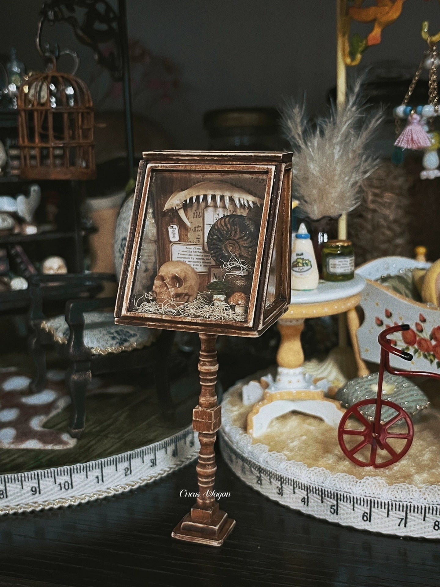 1:12 Scale Wooden Paleontology Specimen Cabinet Miniature Dollhouse Furniture