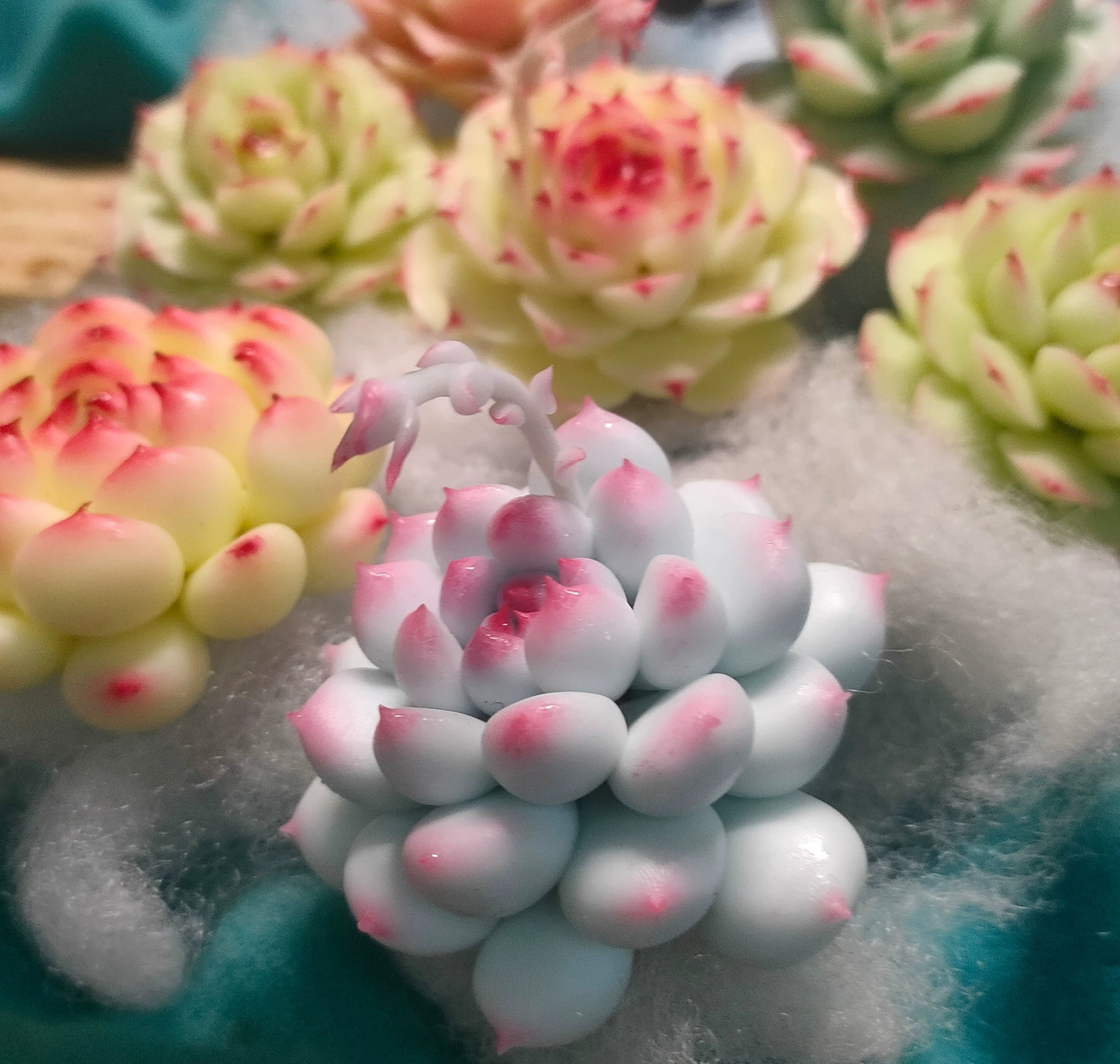 1:12 Scale Miniature Succulent Plant Clay Craft DIY Decoration
