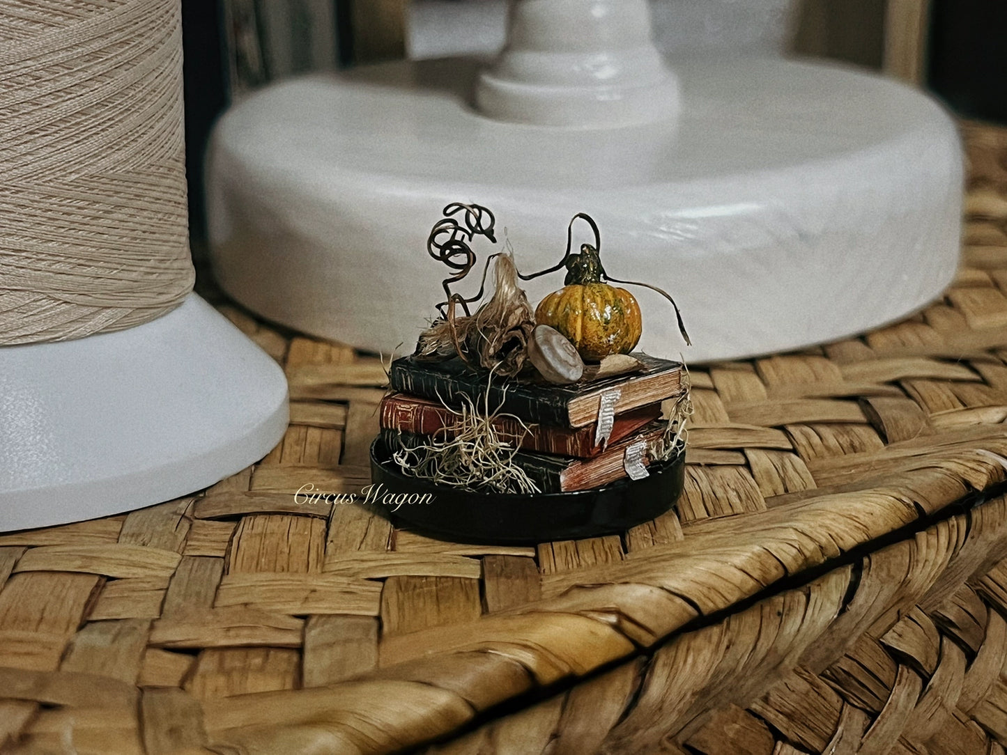 1:12 Scale Miniature Witch House Pumpkin Birdcage Dollhouse Magic Decor Accessories