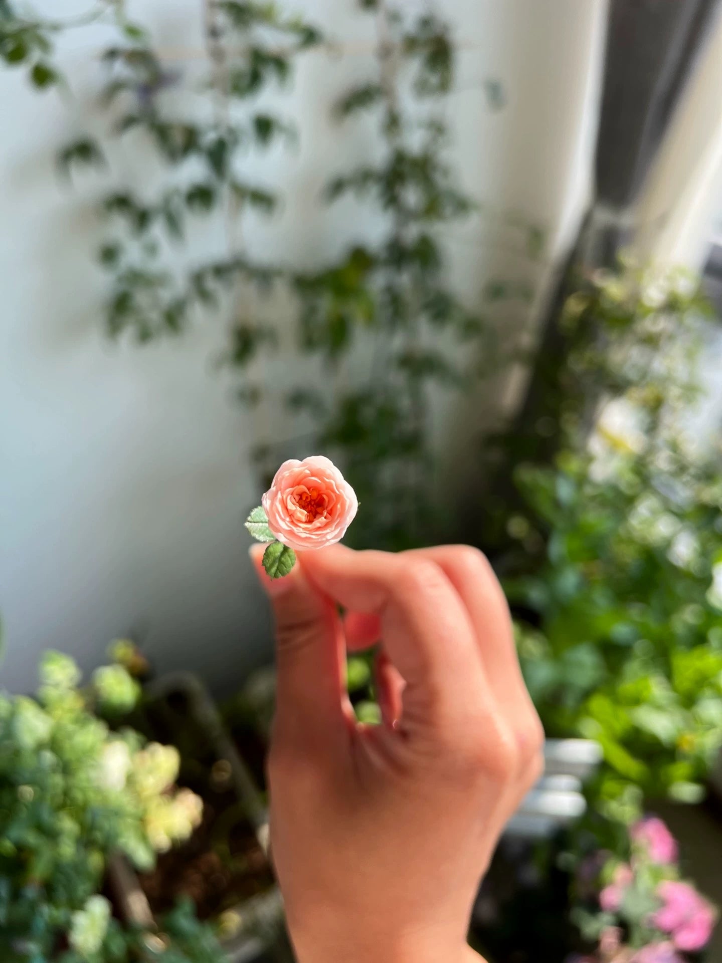 1:6 Scale Miniature European Rose Fox Rain Dollhouse Accessory For Blythe