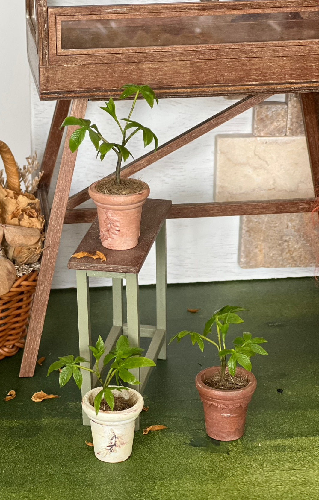 1:6 Scale Miniature Money Tree Potted Plant For Blythe Dollhouse Decor