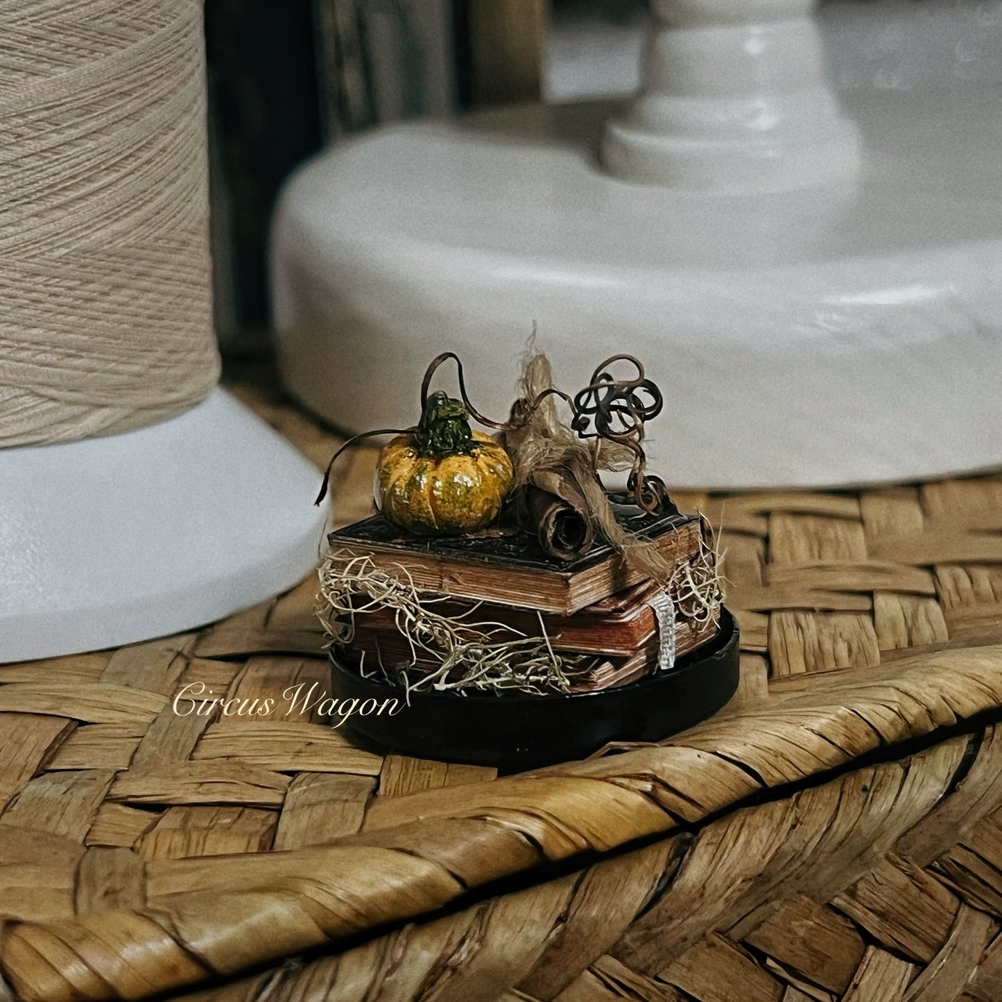 1:12 Scale Miniature Witch House Pumpkin Birdcage Dollhouse Magic Decor Accessories