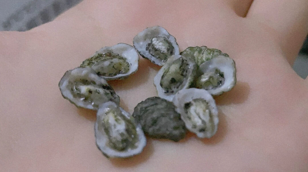 1:12 Scale Miniature Oyster Omelette Fresh Oyster Plate Polymer Clay Handmade Miniature Food Dollhouse Accessory