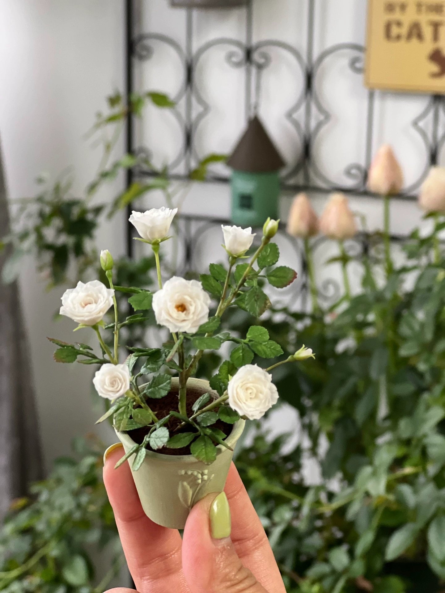 1:6 Scale Miniature White Burgundy Rose Potted Plant For Blythe Dollhouse Decor