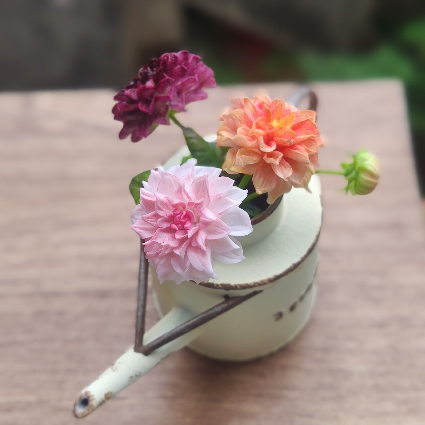 1:12 Scale Miniature Clay Dahlia Flower For Dollhouse Garden Decoration