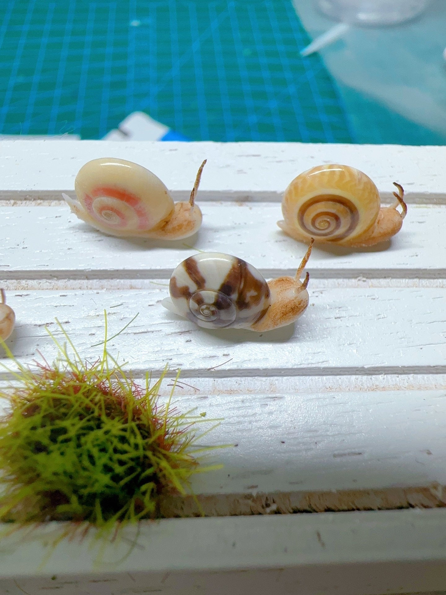 Caracol de arcilla en miniatura a escala 1:12 para muñecas Blythe. Accesorios de arcilla en miniatura.
