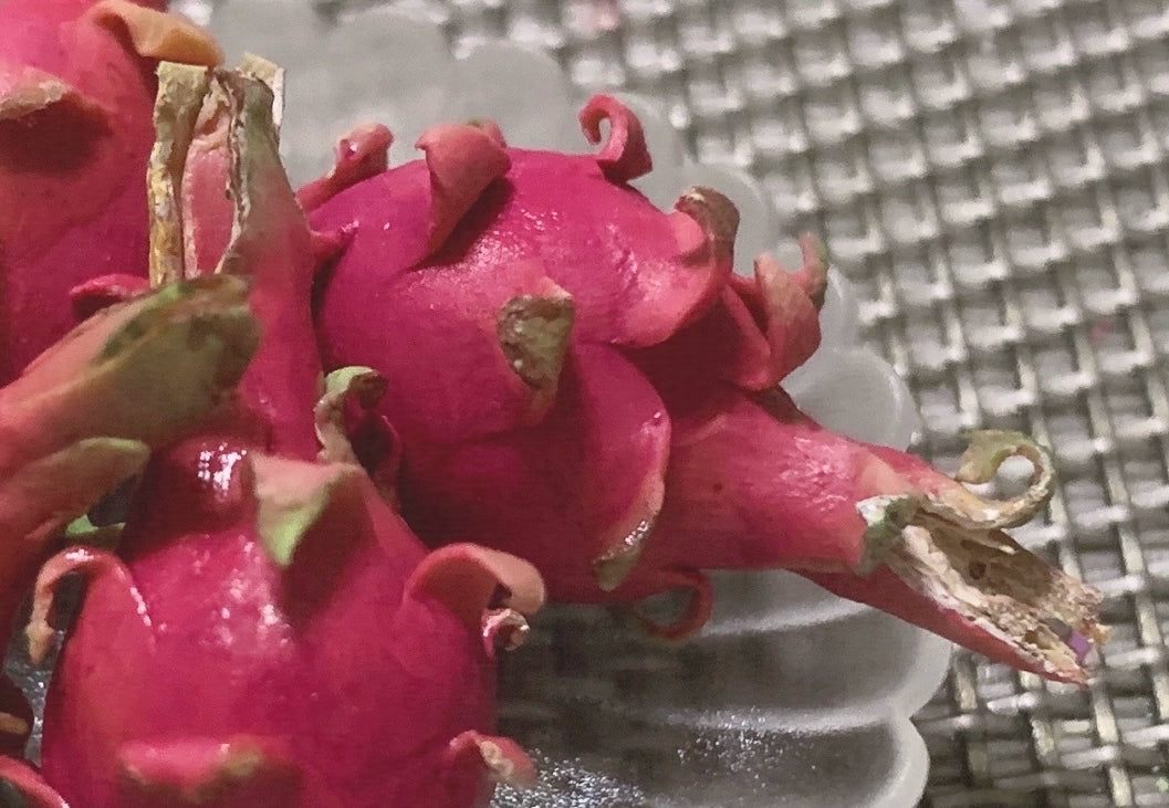 1:12 Scale Soft Clay Miniature Dragon Fruit For BJD OB11 Dollhouse Accessory