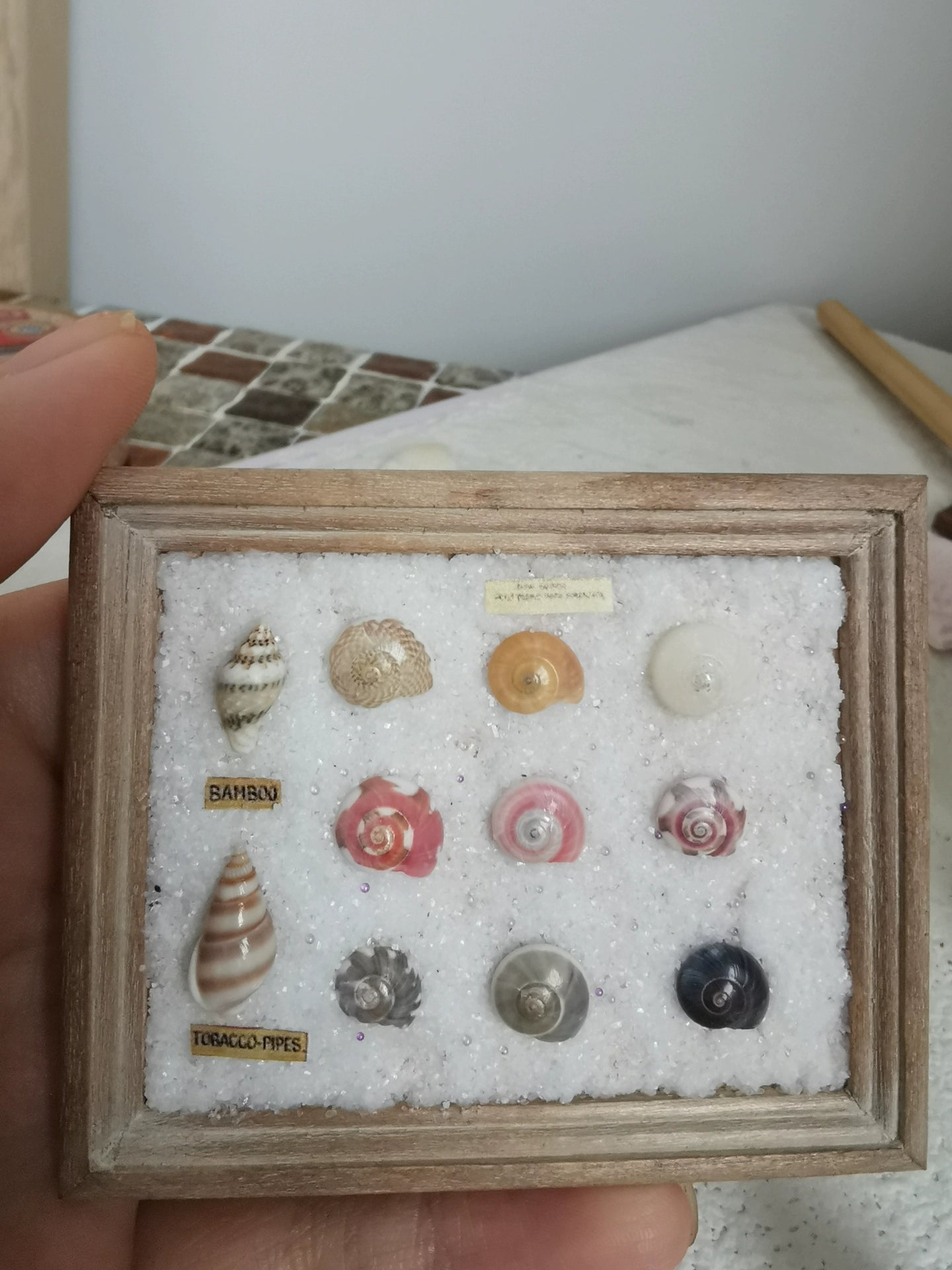 Miniatura de concha marina a escala 1:12 para decorar casas de muñecas BJD y Blythe.
