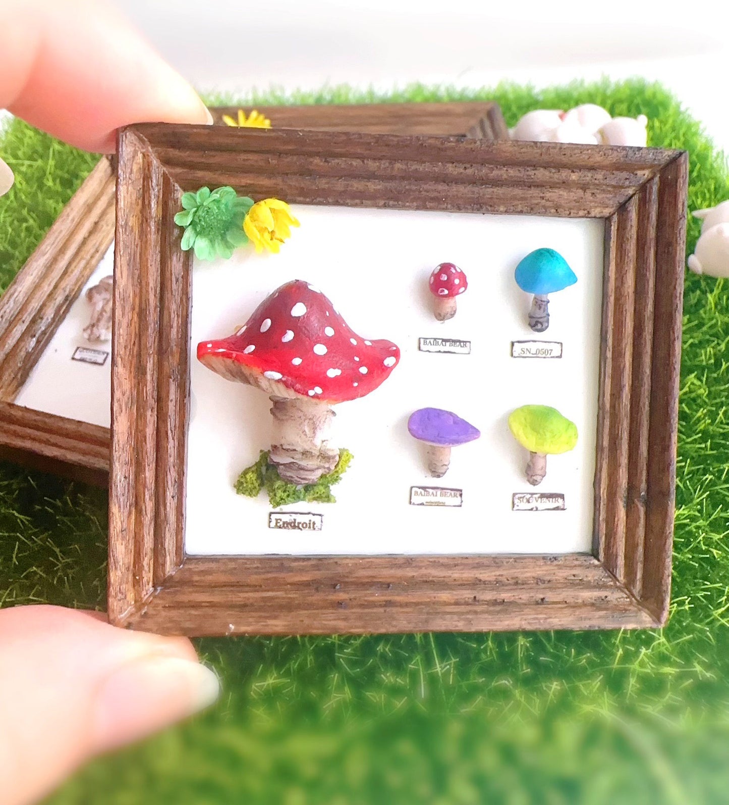 Cadre miniature de spécimen de champignon à l'échelle 1:12, art botanique, décoration de maison de poupée miniature