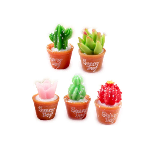 Plantas suculentas de resina en miniatura para casa de muñecas a escala 1:12 en macetas pequeñas - Accesorios para la decoración de casas de muñecas