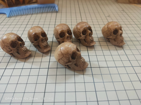 1:6 Scale BJD Blythe OB11 Skull Specimen Miniature Dollhouse Accessory