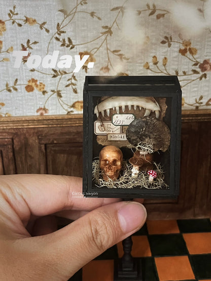 Meuble en bois miniature pour maison de poupée, échelle 1:12, vitrine paléontologique noire