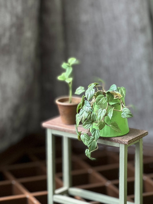 1:6 Scale Miniature Potted Philodendron Micans Plant For Blythe Dollhouse