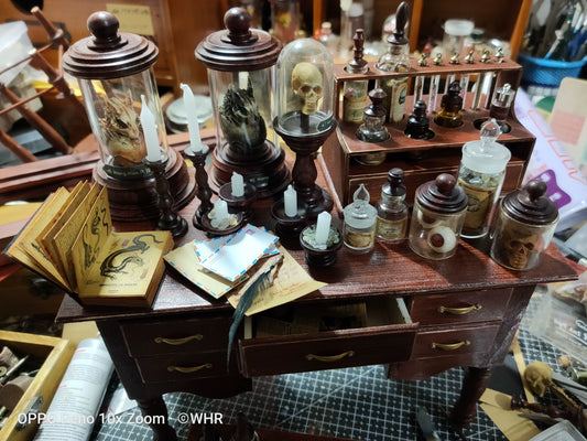 1:6 Scale Blythe B13 BJD Miniature Dollhouse Furniture Harry Potter Scene Props