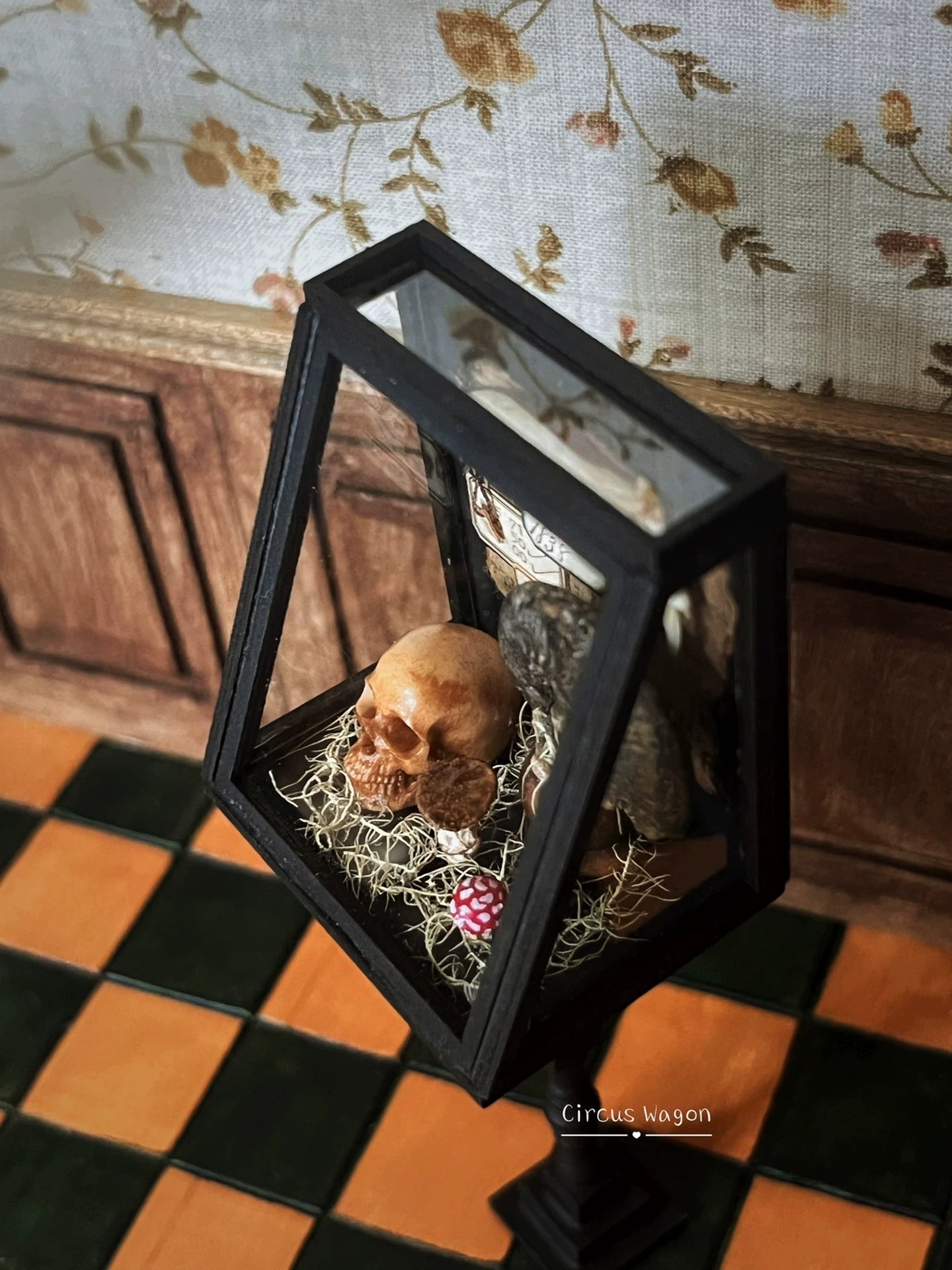 Meuble en bois miniature pour maison de poupée, échelle 1:12, vitrine paléontologique noire