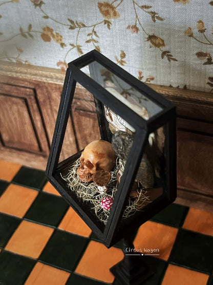 Meuble en bois miniature pour maison de poupée, échelle 1:12, vitrine paléontologique noire