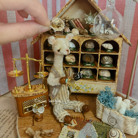 1:12 Scale Miniature Shell Collector Cabinet Miniature Dollhouse Furniture