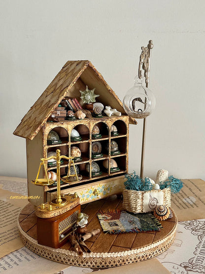 1:12 Scale Miniature Shell Collector Cabinet Miniature Dollhouse Furniture