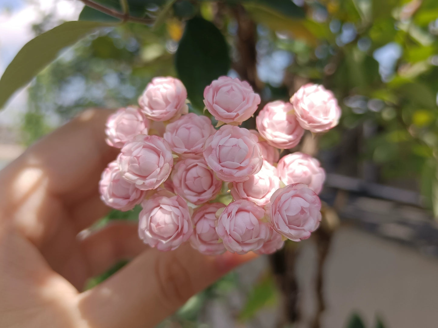 1:6 Scale Clay Rose Miniature Flower BJD Blythe Dollhouse Decor