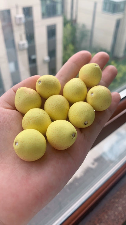 1:12 Scale Soft Clay Miniature Grapefruit With Peeled Section Miniature Dollhouse Food Accessory