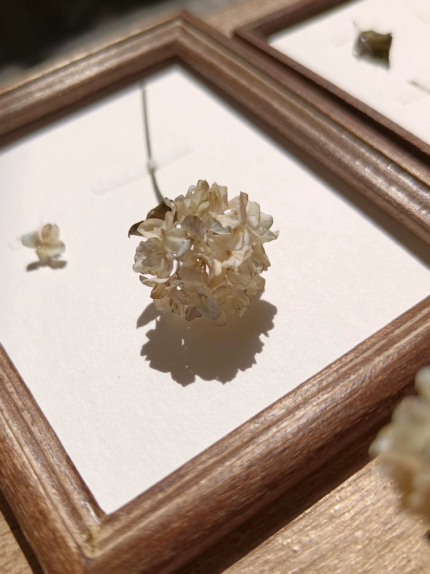 1:6 Scale Miniature Dried Hydrangea Clay Flower BJD Dollhouse Decor Blythe Accessory
