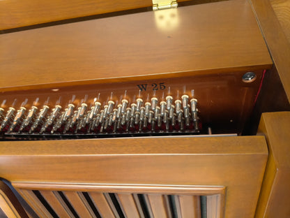 Piano classique haut de gamme élégant rarement utilisé en excellent état