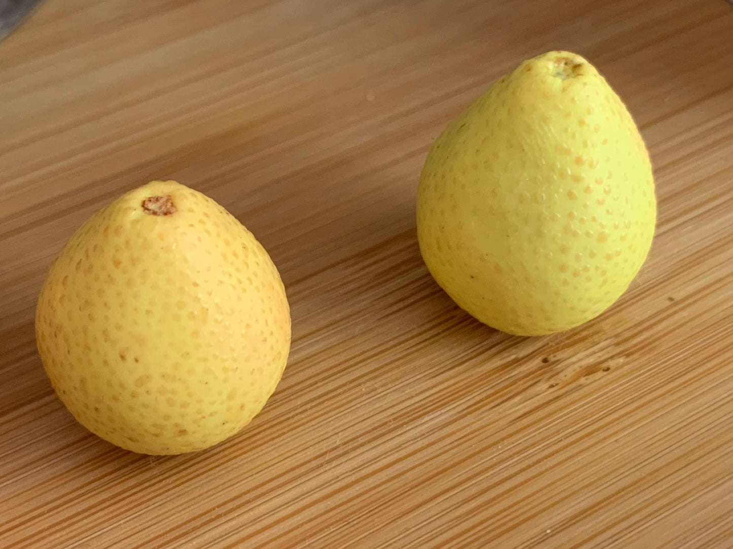 1:12 Scale Soft Clay Miniature Grapefruit With Peeled Section Miniature Dollhouse Food Accessory
