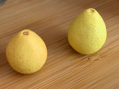 1:12 Scale Soft Clay Miniature Grapefruit With Peeled Section Miniature Dollhouse Food Accessory