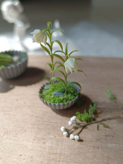 Bonsái de arcilla en miniatura a escala 1:12, decoración para casa de muñecas BJD Blythe