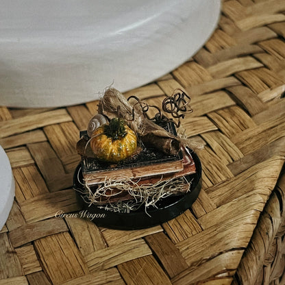 1:12 Scale Miniature Witch House Pumpkin Birdcage Dollhouse Magic Decor Accessories