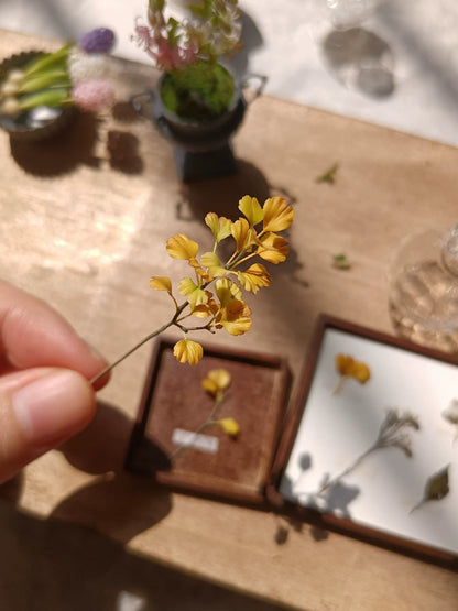 1:6 Scale Miniature Clay Ginkgo Flower BJD Blythe Dollhouse Decoration Accessory