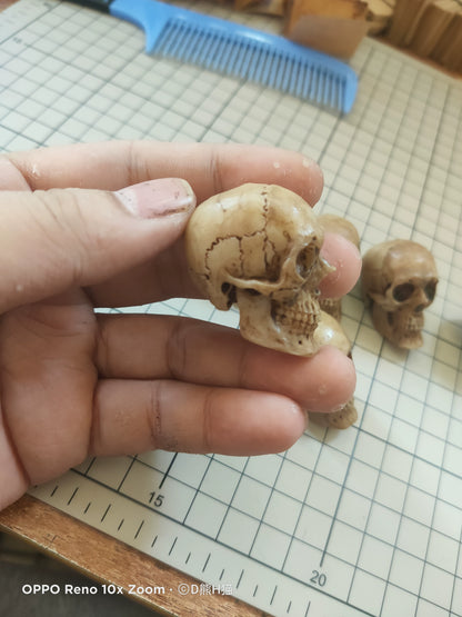 1:6 Scale BJD Blythe OB11 Skull Specimen Miniature Dollhouse Accessory