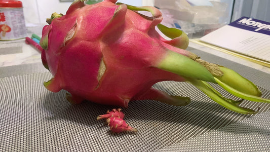 1:12 Scale Soft Clay Miniature Dragon Fruit For BJD OB11 Dollhouse Accessory